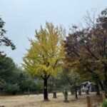 주말여행지 한국민속촌